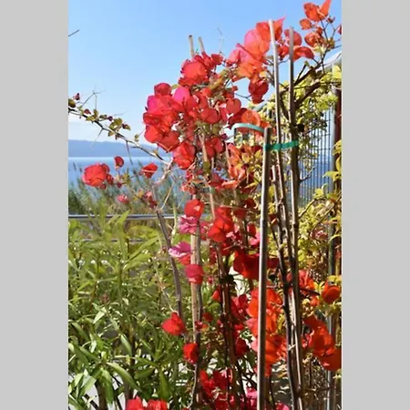 דירה Splendide Vue *