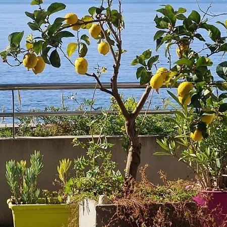 Apartment Ajaccio Splendide Vue